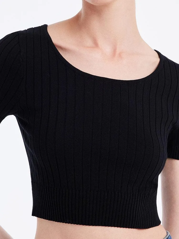 Basic Fitted Crop Top