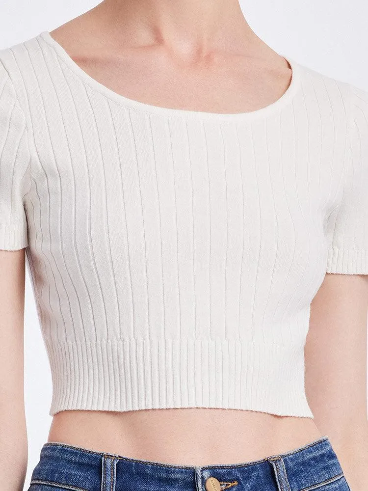 Basic Fitted Crop Top