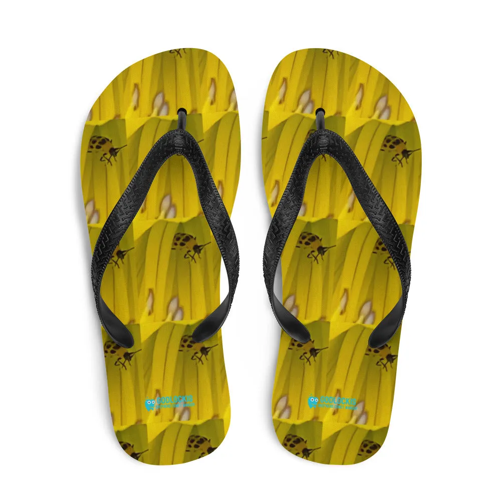 Flip-Flops