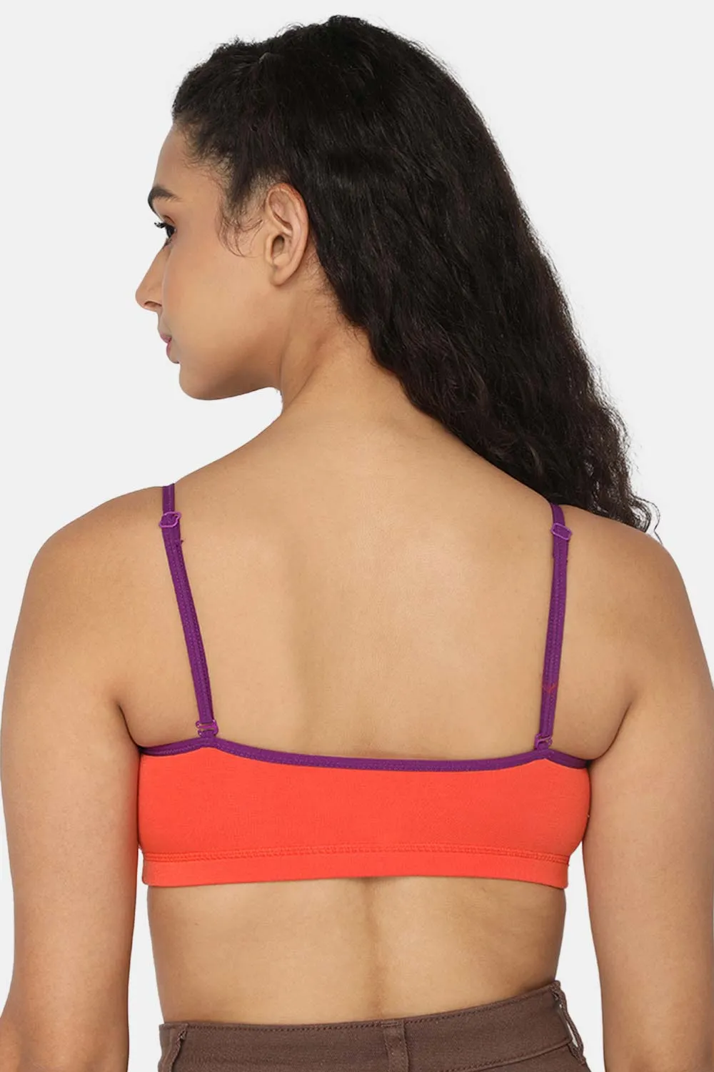 Intimacy Beginners-Bra Special Combo Pack - BB01 - C46