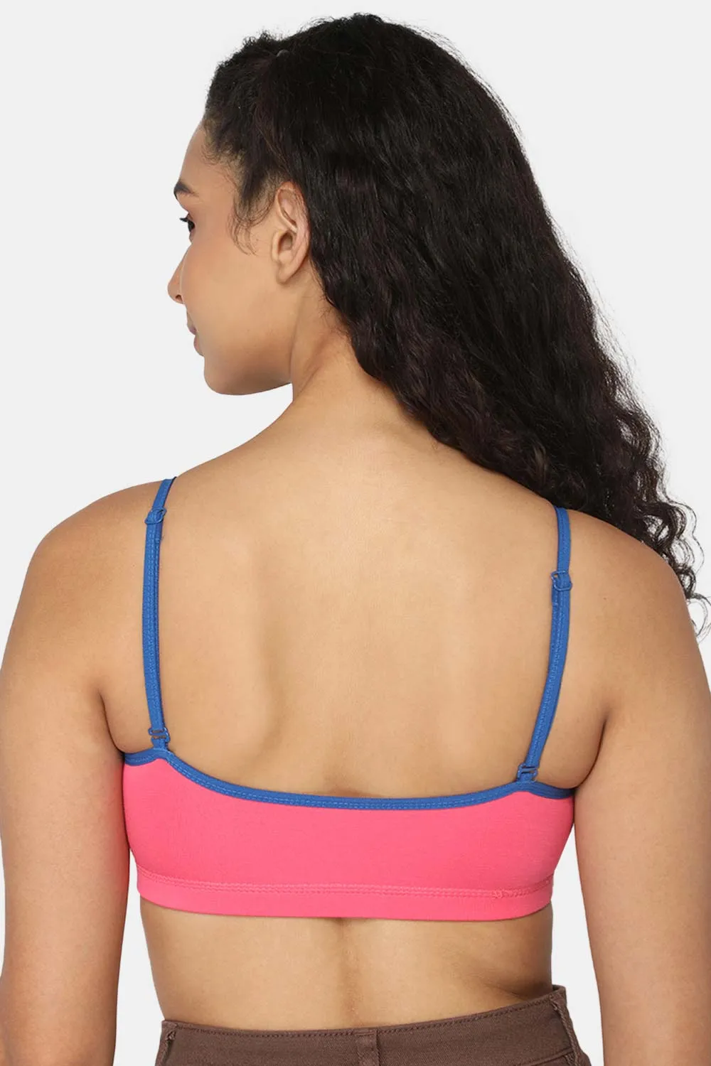 Intimacy Beginners-Bra Special Combo Pack - BB01 - C60