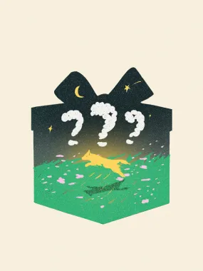 Mystery Box