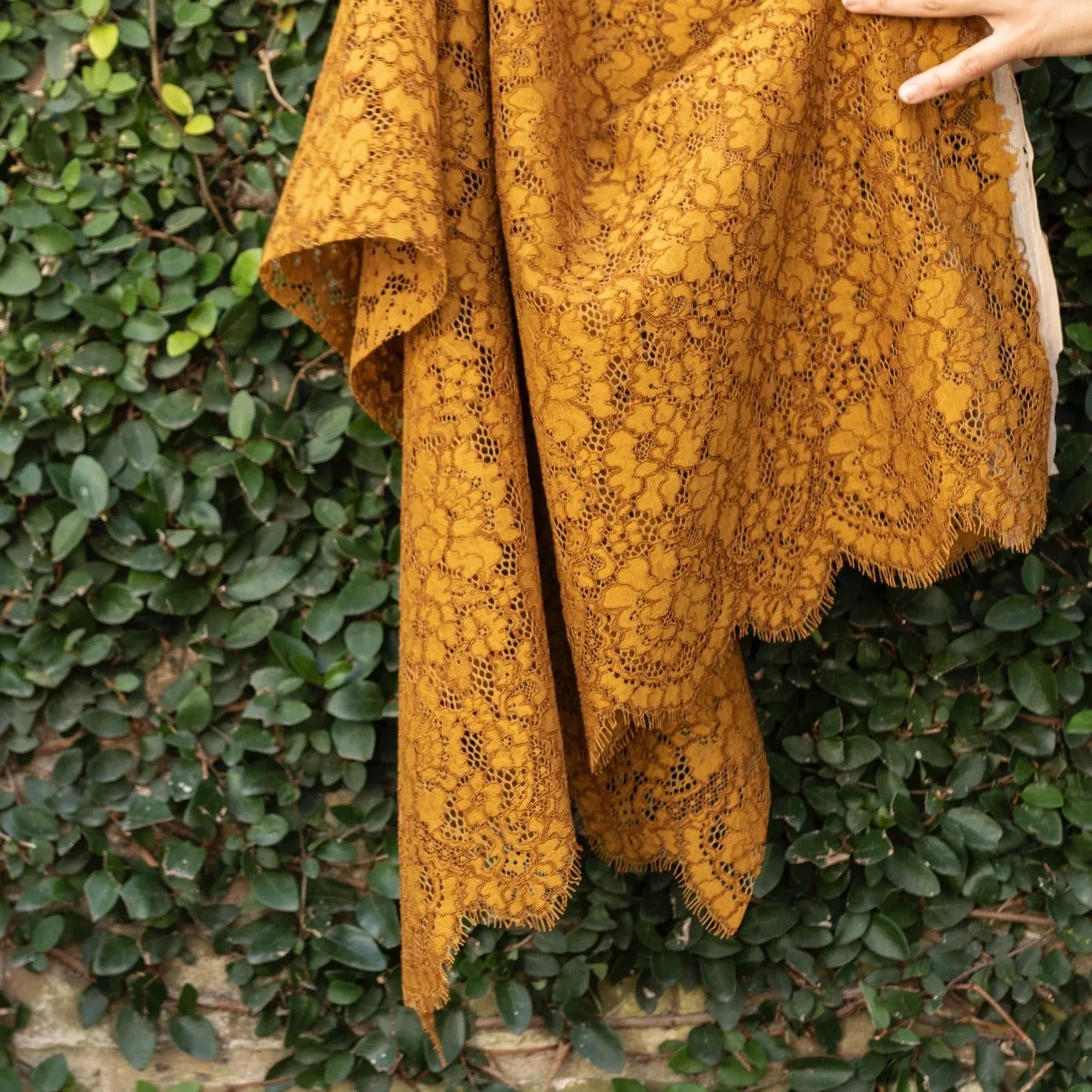 Veronica Beard - Dijon Scallop Eyelash Fringe Lace -Remnant